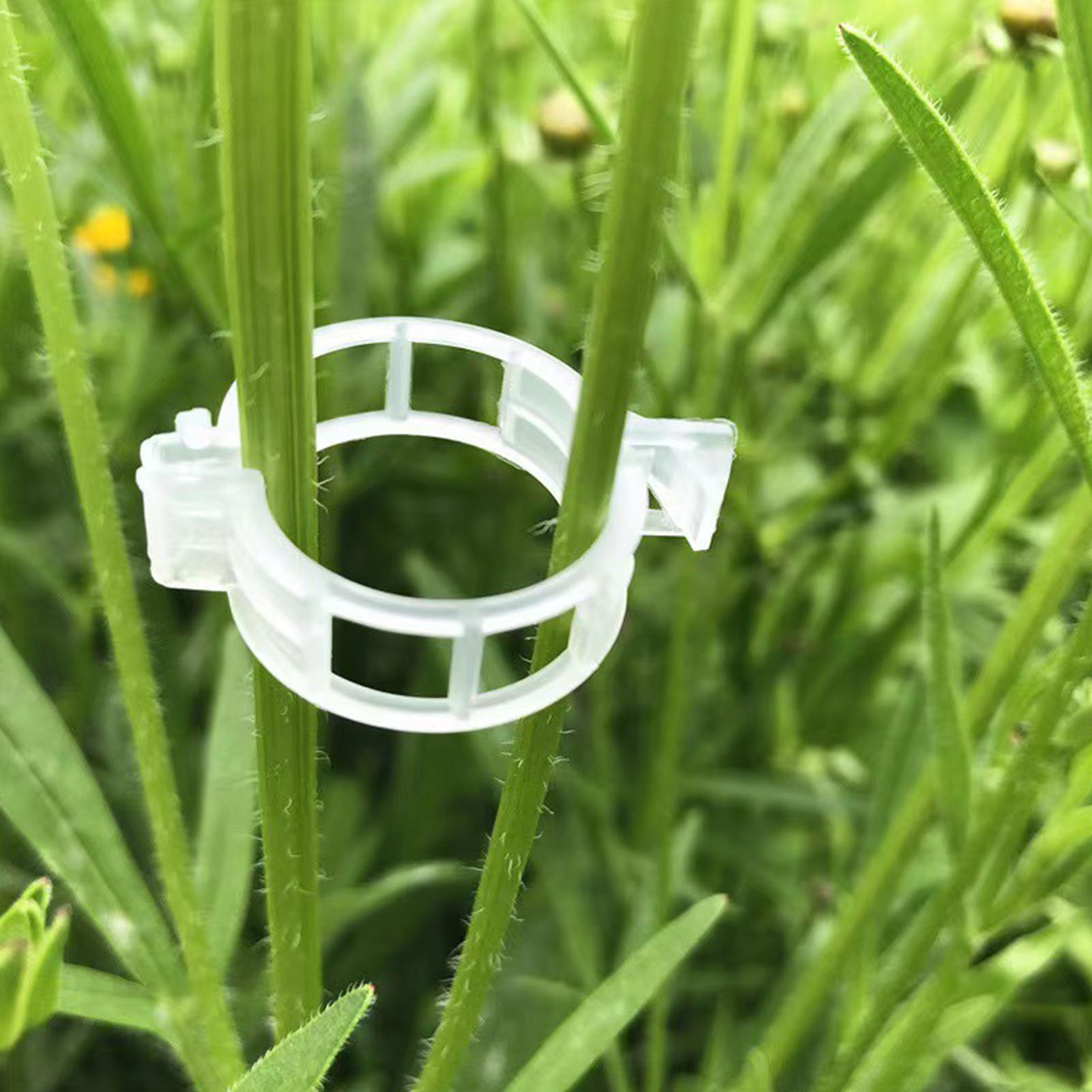 Vine Climbing Plastic - Zabezpieczające plastikowe klipsy do roślin, wielokrotnego