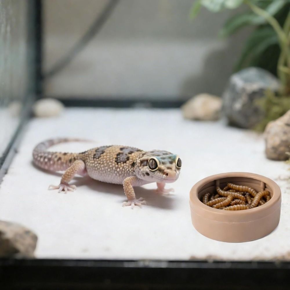 Przenośna, odporna na ucieczki – Water Dish Reptile recenzja i cena