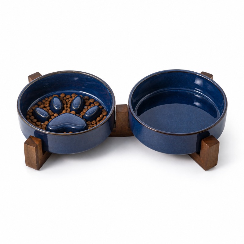 Miska ceramiczna dla kota w st – Royal Canin Food Medium recenzja i cena
