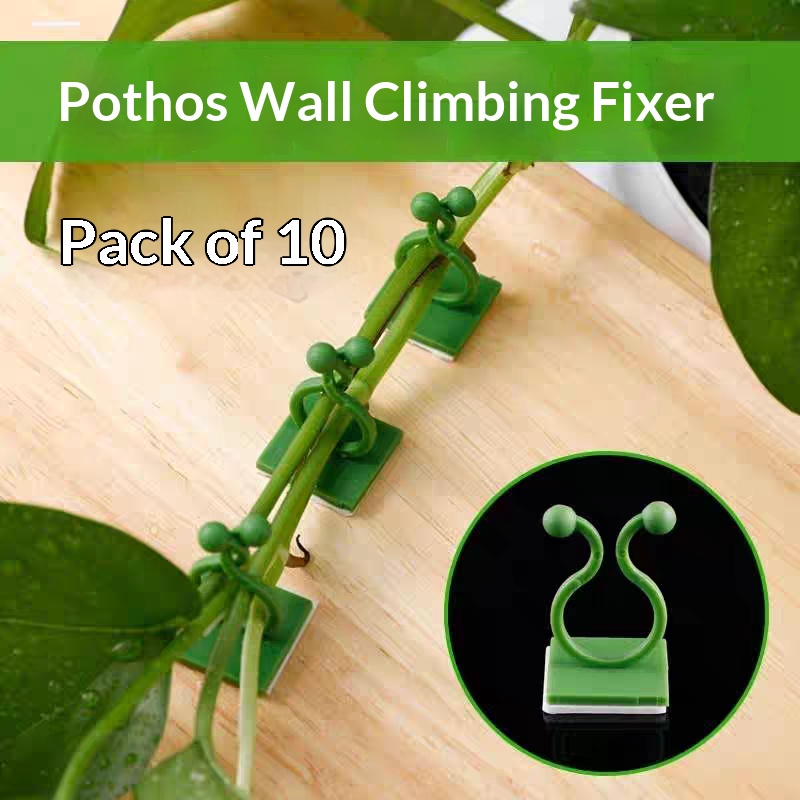 Samoprzylepne klipsy do mocowa – Vine Climbing Plastic recenzja i cena