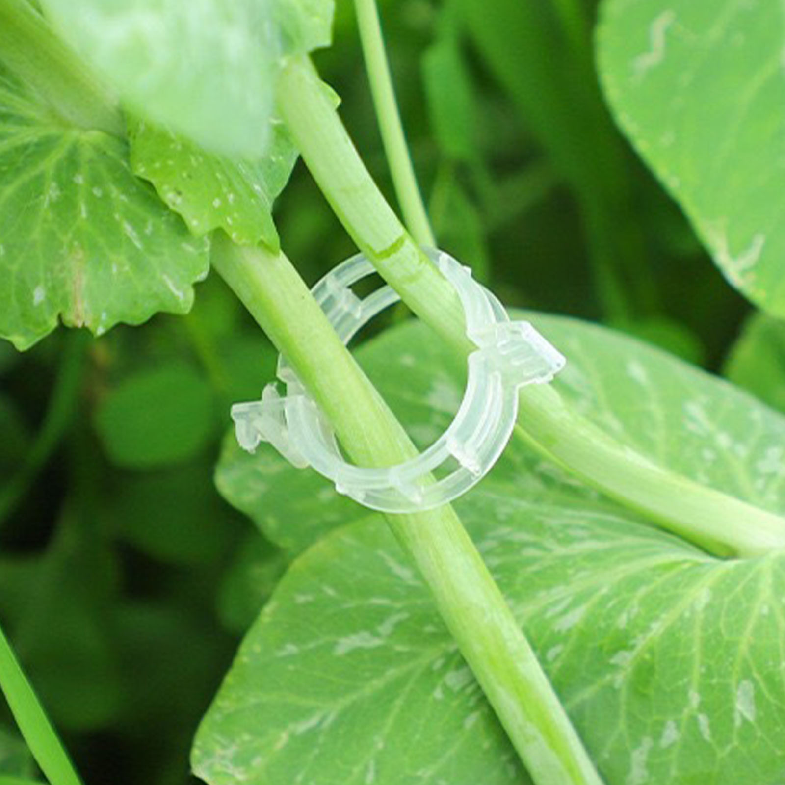 Zabezpieczające plastikowe kli – Vine Climbing Plastic recenzja i cena